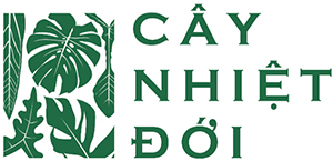 Vườn Ươm Phúc Đức