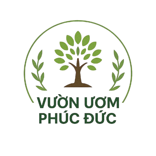 Vườn Ươm Phúc Đức